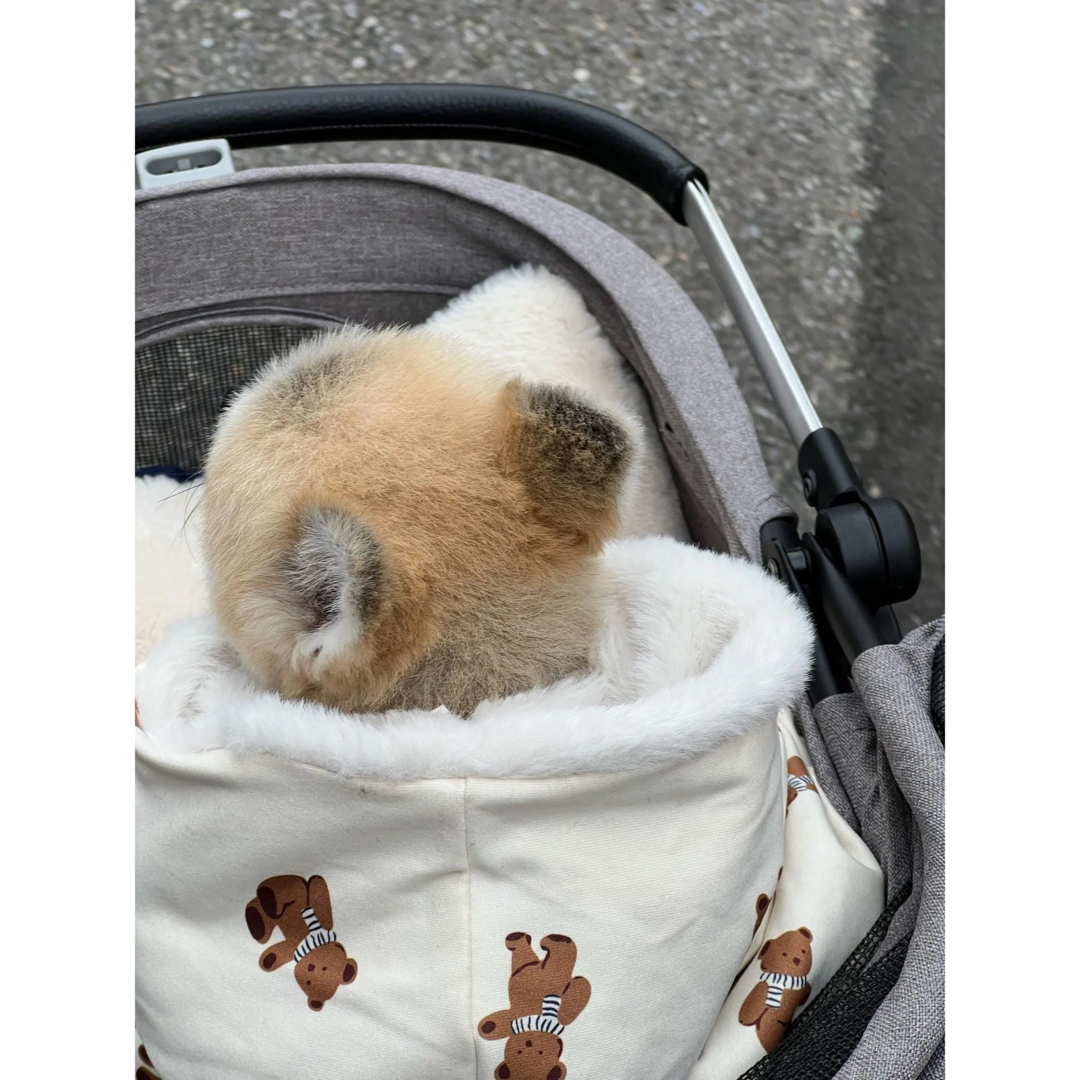 新品♡可愛い♡テディベアポンチョ　犬服　着る毛布　バギーローブ　コート　防寒 その他のペット用品(犬)の商品写真