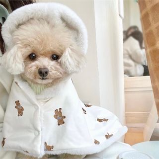 新品♡可愛い♡テディベアポンチョ　犬服　着る毛布　バギーローブ　コート　防寒(犬)