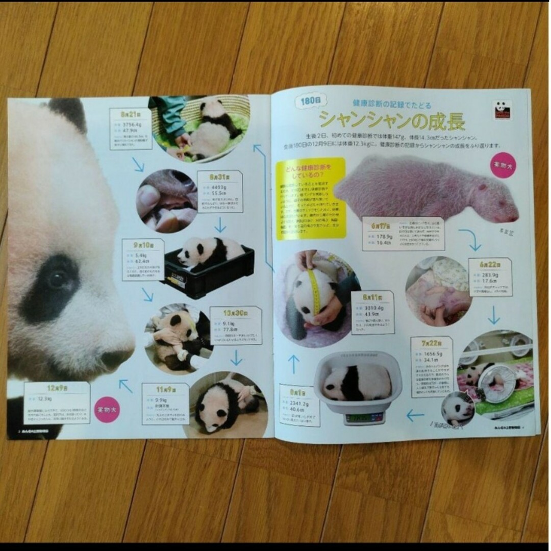 上野動物園冊子　シンシン・シャンシャン特集 エンタメ/ホビーのコレクション(その他)の商品写真