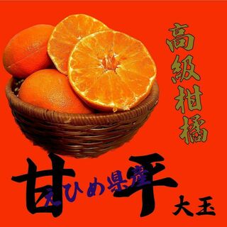 高級柑橘をお手頃に提供！【甘平🍊 大玉】　3Kg(フルーツ)