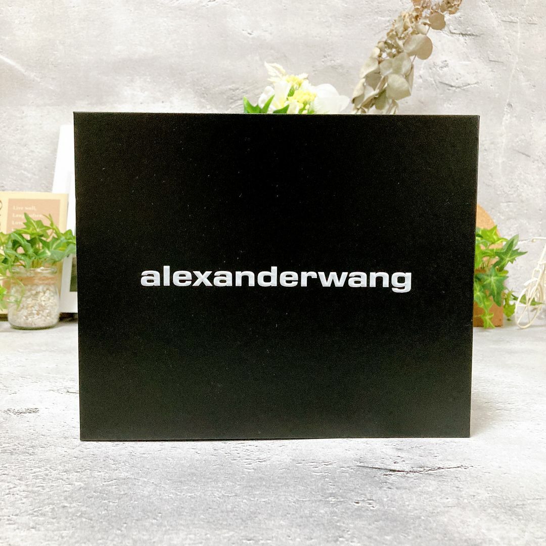 Alexander Wang(アレキサンダーワン)の定価¥121,000 ALEXANDER WANG メッシュ ポーチ レディースのバッグ(ハンドバッグ)の商品写真