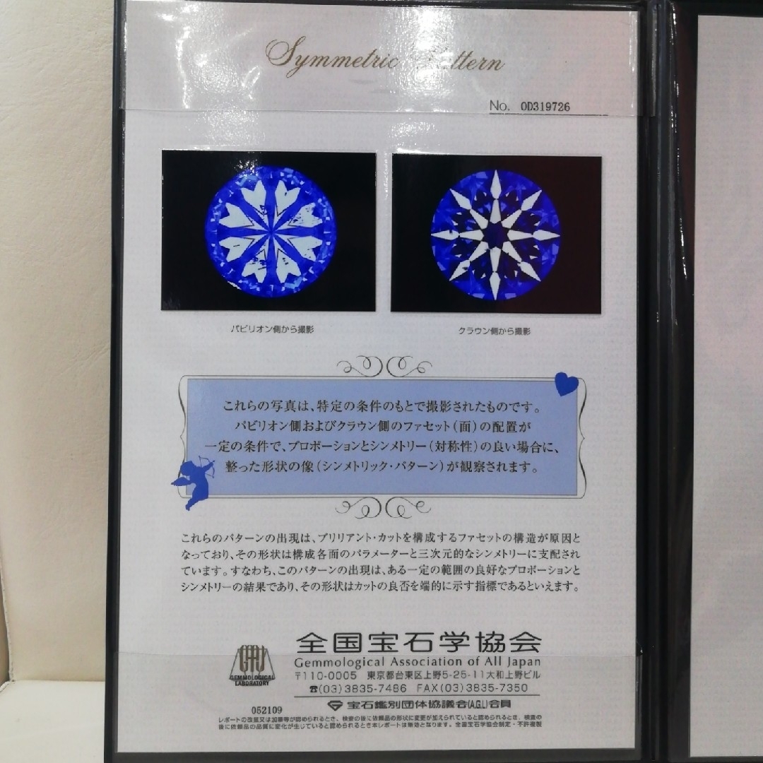 Pt850 & Pt900✨ダイヤ0.532ct✨１粒ダイヤネックレス〈H&C〉 レディースのアクセサリー(ネックレス)の商品写真