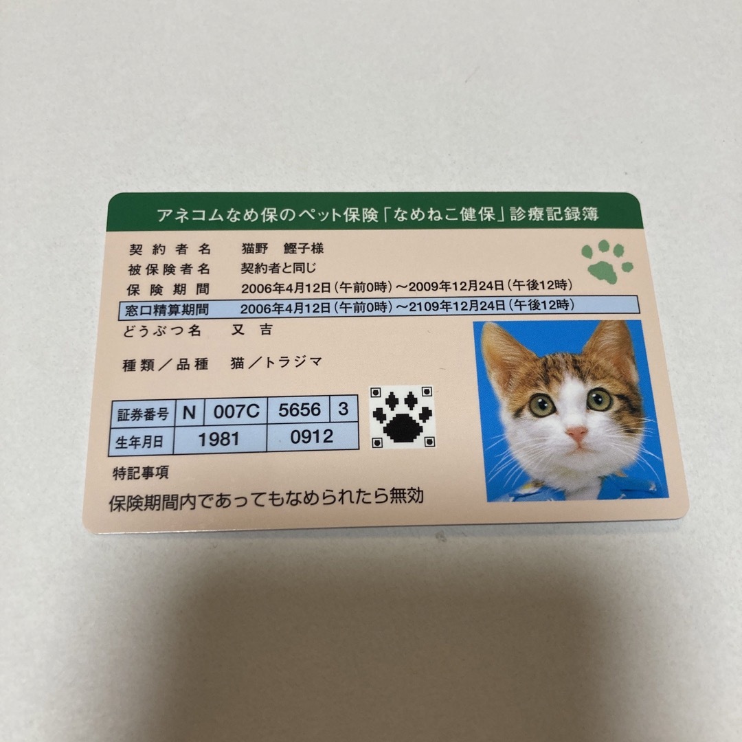 なめんなよ猫　カード　ペット保険 エンタメ/ホビーのおもちゃ/ぬいぐるみ(キャラクターグッズ)の商品写真