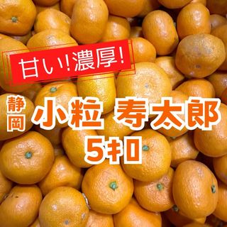 甘い！濃厚！小玉みかん『寿太郎』5キロ  静岡県浜松産(フルーツ)