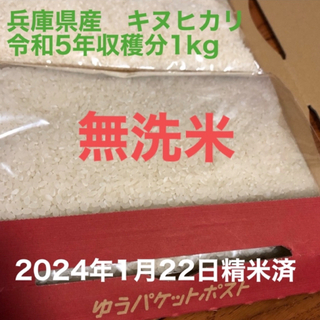 白米　兵庫県産　キヌヒカリ　1kg(米/穀物)