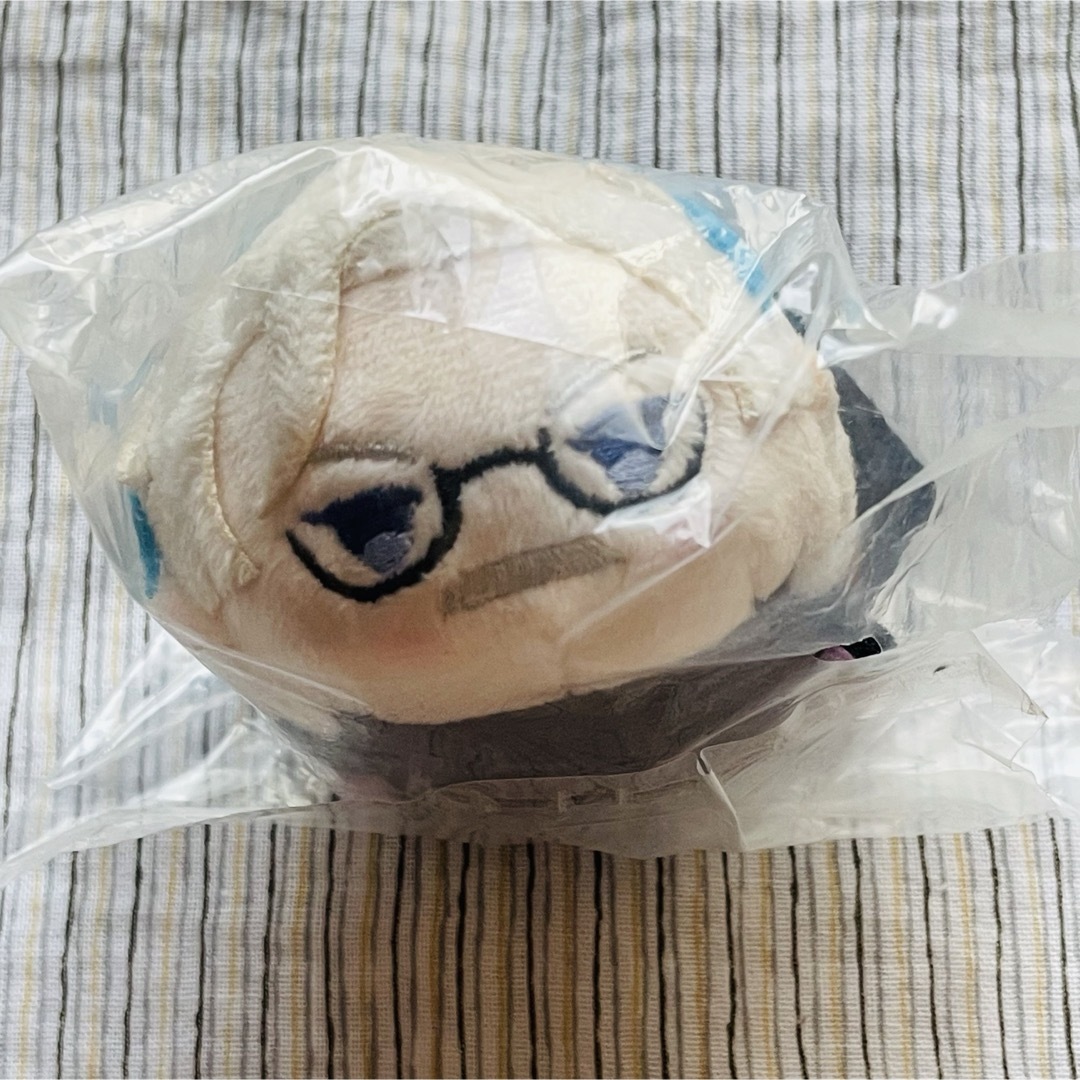 FGO もちマス モリアーティ エンタメ/ホビーのおもちゃ/ぬいぐるみ(キャラクターグッズ)の商品写真