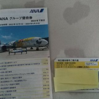 エーエヌエー(ゼンニッポンクウユ)(ANA(全日本空輸))のANA 割引券 のみ(航空券)