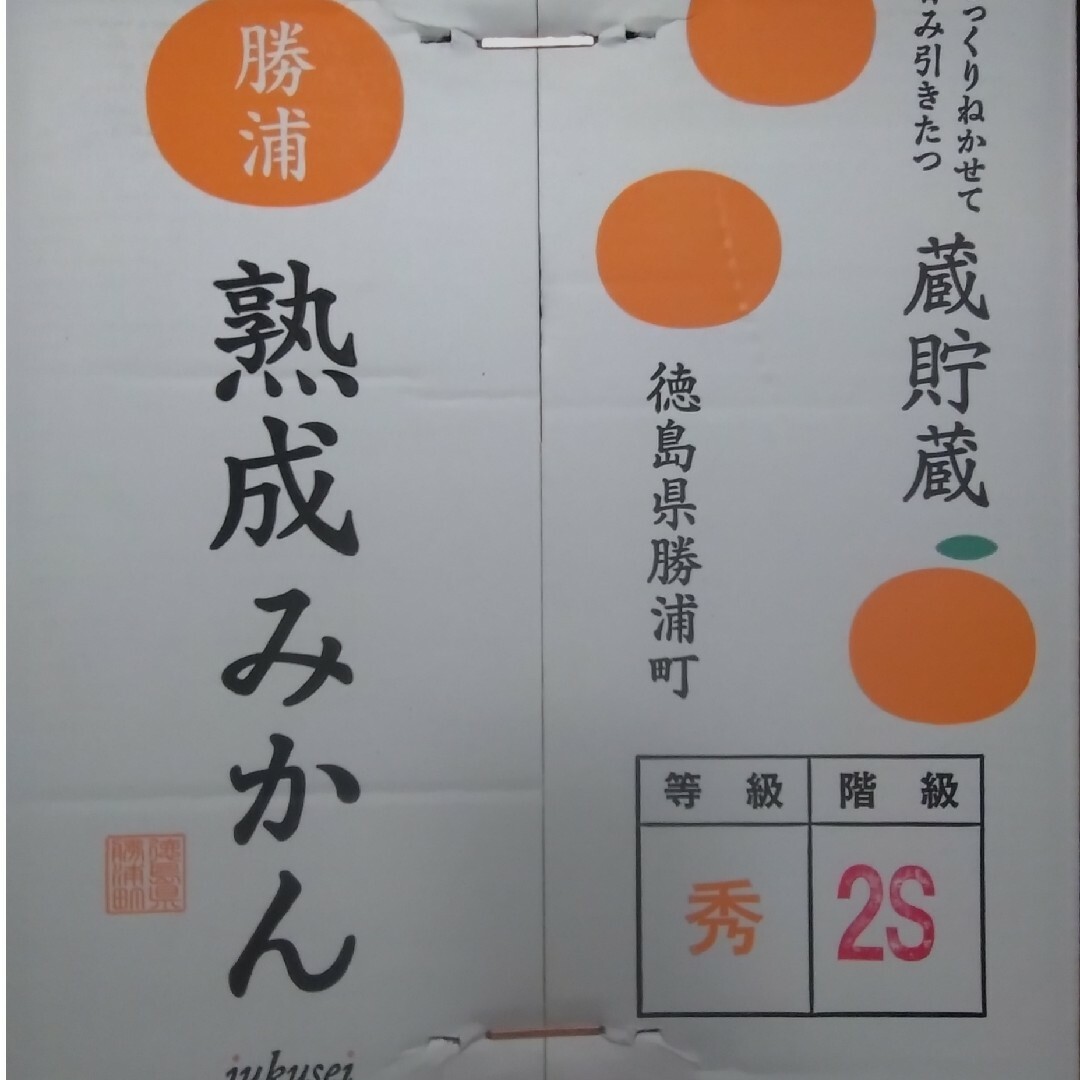 徳島県産勝浦◆熟成貯蔵みかん◆食べたらわかる美味しさ❢濃厚みかん5kg 食品/飲料/酒の食品(フルーツ)の商品写真