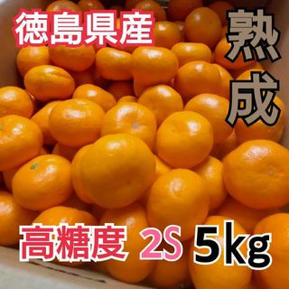 徳島県産勝浦◆熟成貯蔵みかん◆食べたらわかる美味しさ❢濃厚みかん5kg(フルーツ)