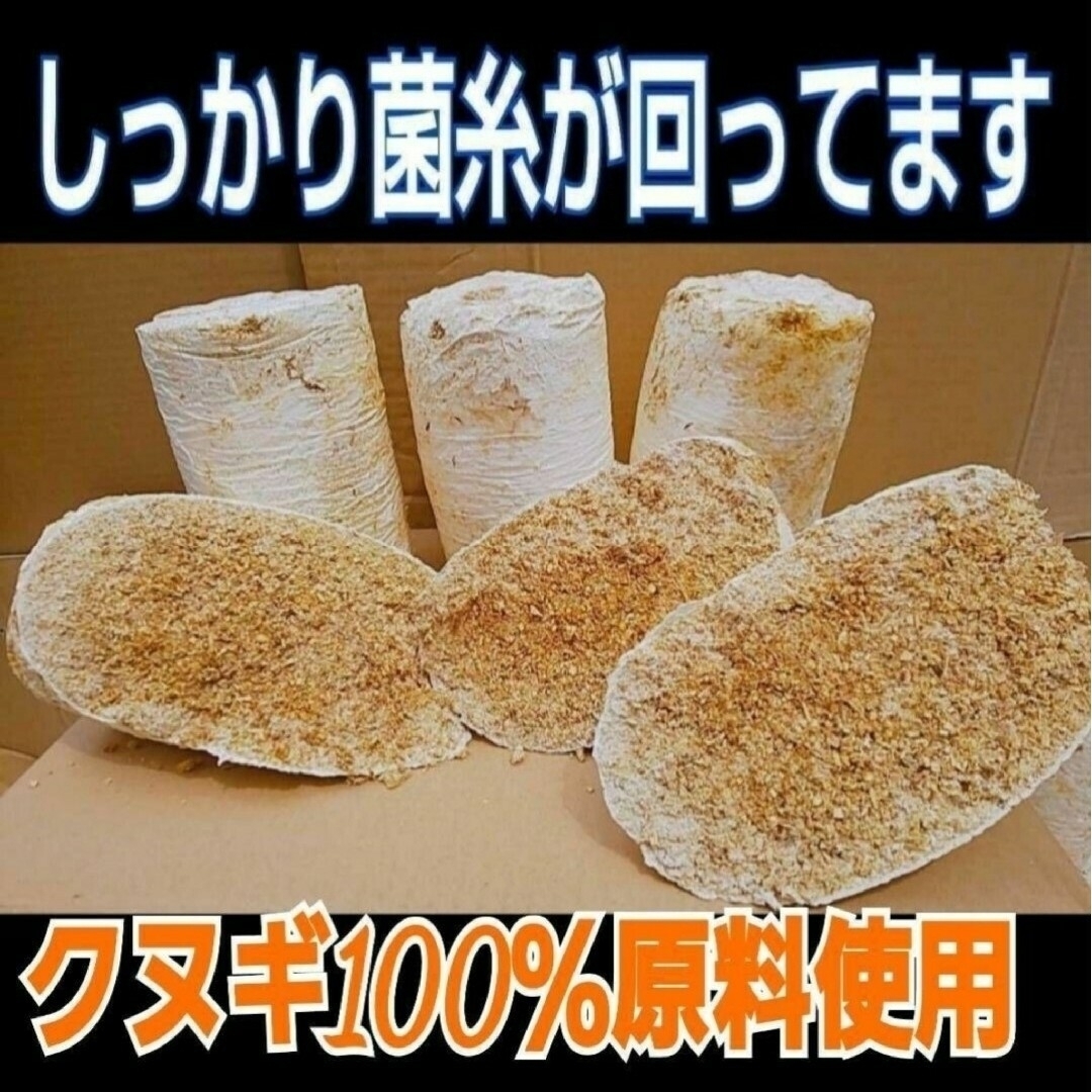 オオヒラタケ菌床ブロック【2個】カブトムシ幼虫の栄養強化に！クワガタの産卵床に！ その他のペット用品(虫類)の商品写真