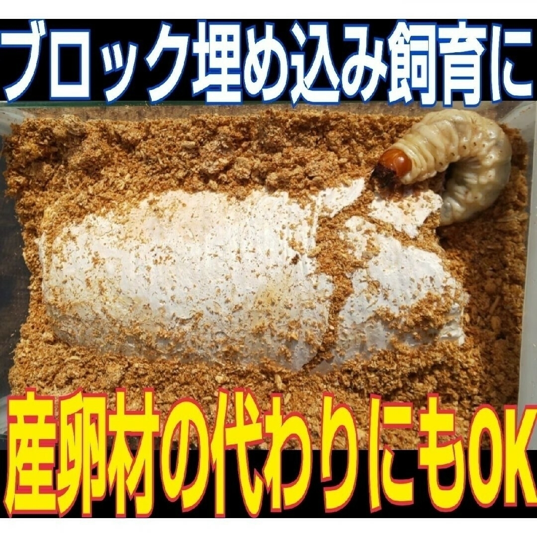 オオヒラタケ菌床ブロック【2個】カブトムシ幼虫の栄養強化に！クワガタの産卵床に！ その他のペット用品(虫類)の商品写真