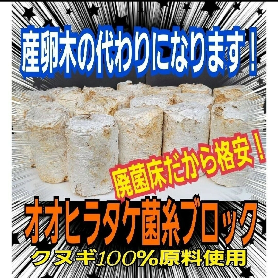 オオヒラタケ菌床ブロック【2個】カブトムシ幼虫の栄養強化に！クワガタの産卵床に！ その他のペット用品(虫類)の商品写真