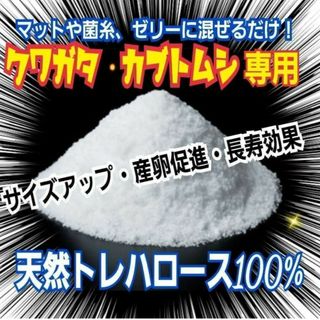 クワガタ・カブトムシ専用栄養添加剤　生体のエネルギー源です！トレハロース粉末(虫類)