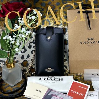 COACH - COACH Wチェーン 2wayショルダーバッグ マディソン16 ターン ...