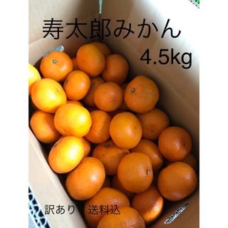 寿太郎みかん　訳あり　約5kg(フルーツ)