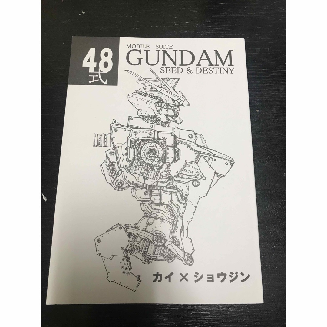 同人誌　48式　機動戦士ガンダムSEED&DESTINYモビルスーツ設定資料集 エンタメ/ホビーの同人誌(一般)の商品写真