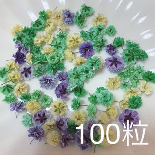 (03)かすみ草ドライフラワー100粒(ドライフラワー)