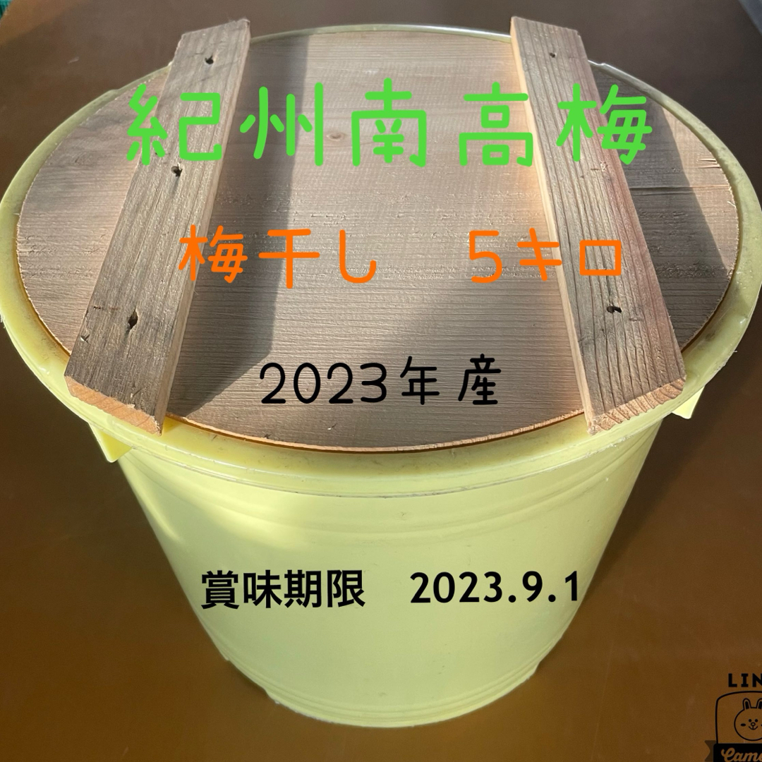 紀州南高梅　昔ながらのしょっぱい　梅干し　５キロ  無添加 食品/飲料/酒の食品(野菜)の商品写真