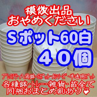 《Sポット60》白 40個 スリット鉢 プラ鉢 2号鉢相当 多肉植物 プレステラ(プランター)