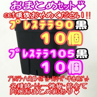 【スリット鉢】プレステラ黒90＆105 各10個 多肉植物 プラ鉢(プランター)