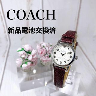 コーチ(COACH)の新品電池交換済美麗レディースウォッチ女性用腕時計Coachコーチシルバー2534(腕時計)