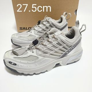 サロモン(SALOMON)の【新品】SALOMON ACS PRO スニーカー 27.5 シルバー(スニーカー)