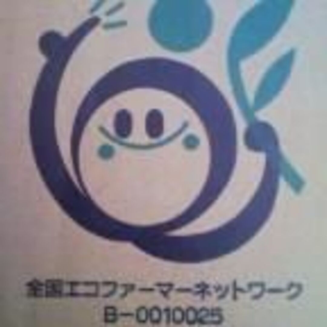 北海道産 玉ねぎ 20kg Mサイズ 北もみじ2000 食品/飲料/酒の食品(野菜)の商品写真