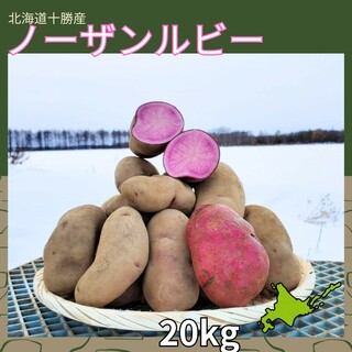 【20kg】北海道産　じゃがいも　ノーザンルビー(野菜)