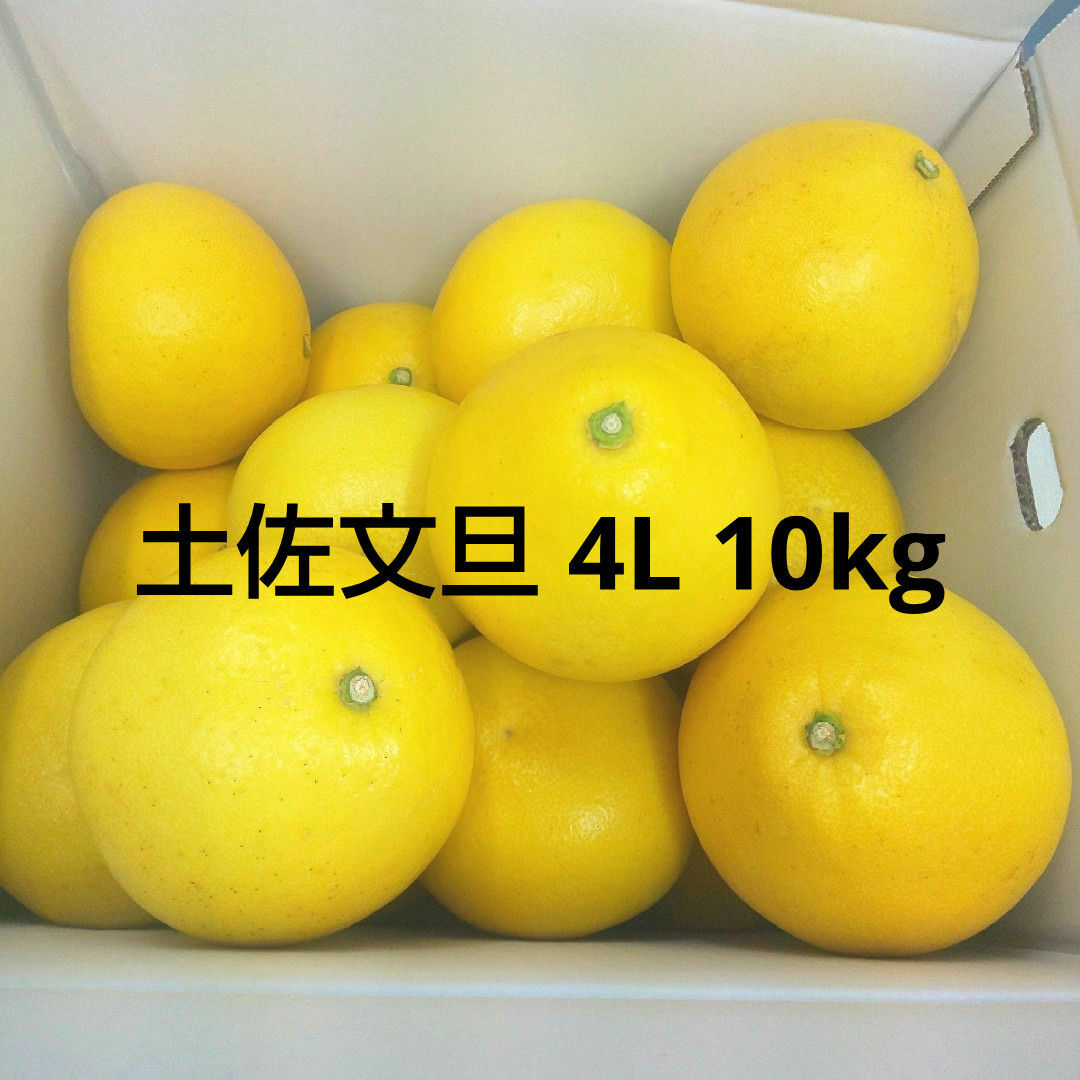 柑橘【自然栽培】高知県産文旦L〜4Lサイズ10kg