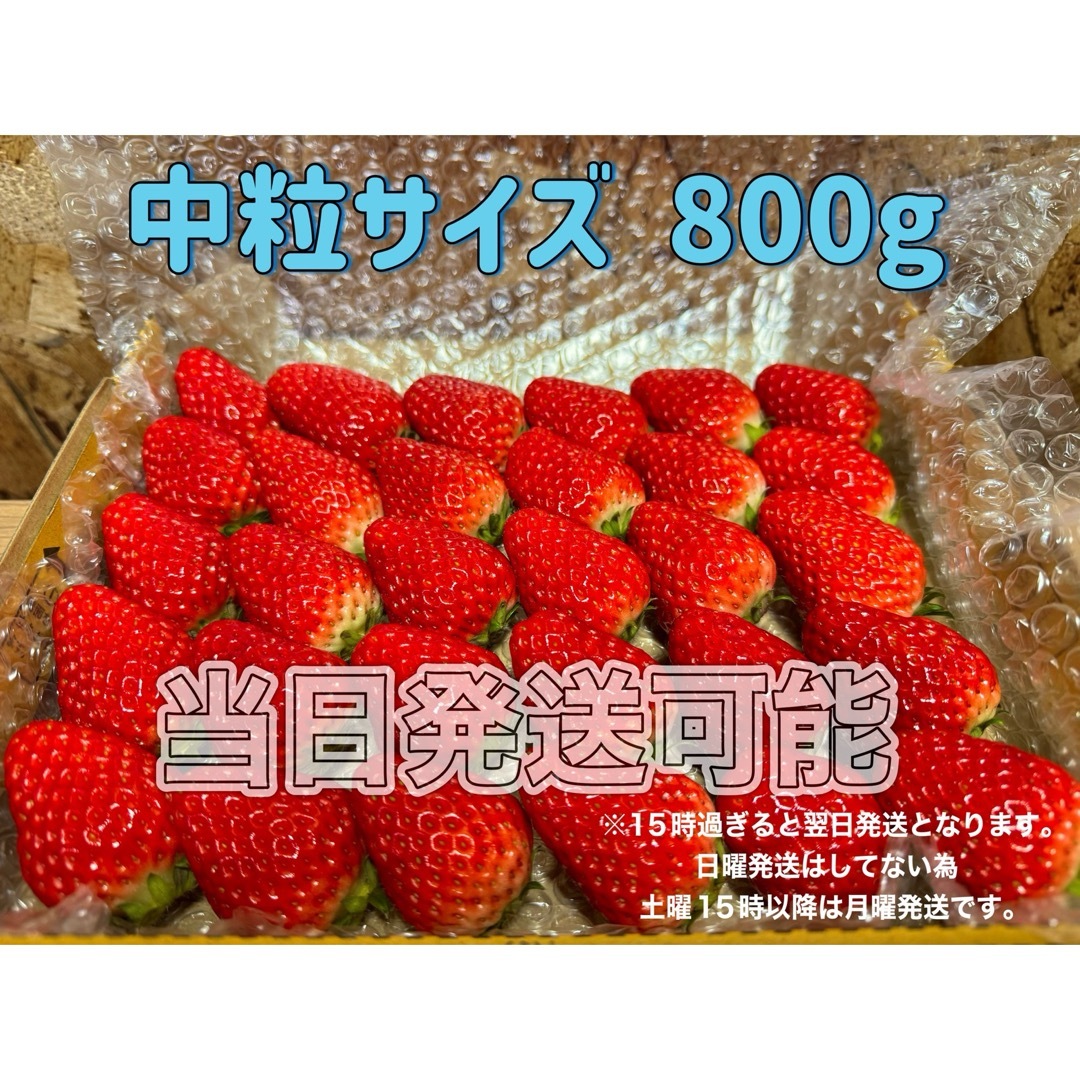 中玉サイズ 箱満タン800g 紅ほっぺ🍓いちご 苺 食品/飲料/酒の食品(フルーツ)の商品写真