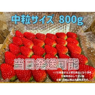 中玉サイズ 箱満タン800g 紅ほっぺ🍓いちご 苺(フルーツ)