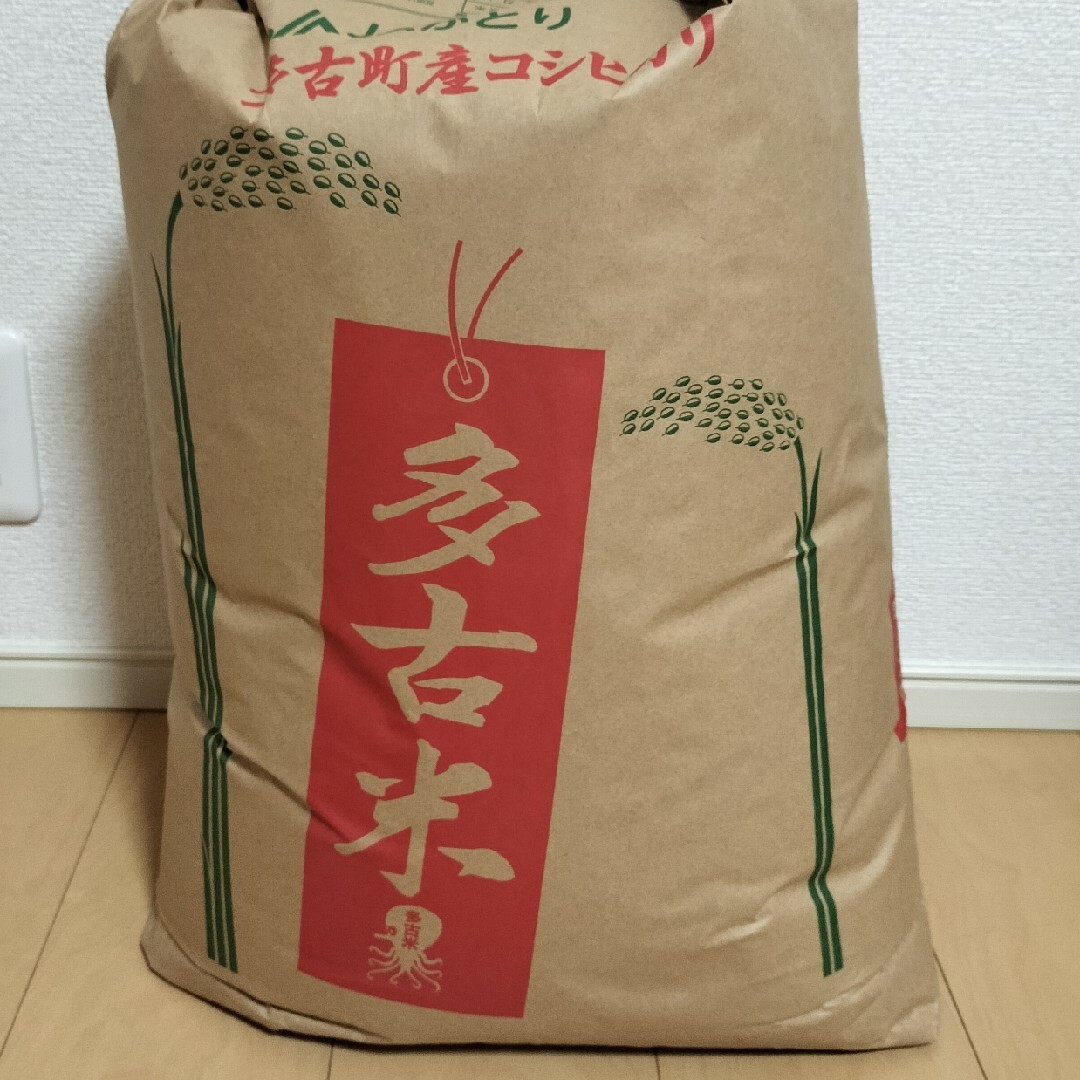 多古米コシヒカリ　1.5キロ 食品/飲料/酒の食品(米/穀物)の商品写真