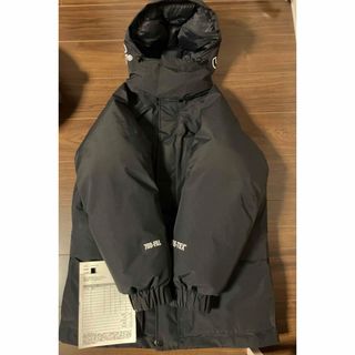 シュプリーム(Supreme)のSUPREME GORE-TEX 700-Fill Down Parka ダウン(ダウンジャケット)