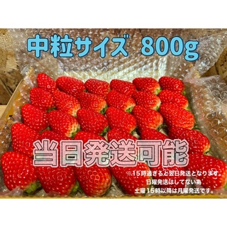 中玉サイズ 箱満タン800g 紅ほっぺ🍓いちご 苺(フルーツ)