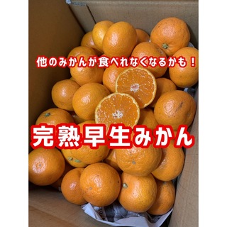 愛媛県産　完熟早生みかん　3kg  柑橘　ミカン(フルーツ)