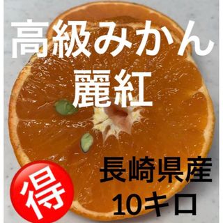 麗紅みかん　10キロ(フルーツ)