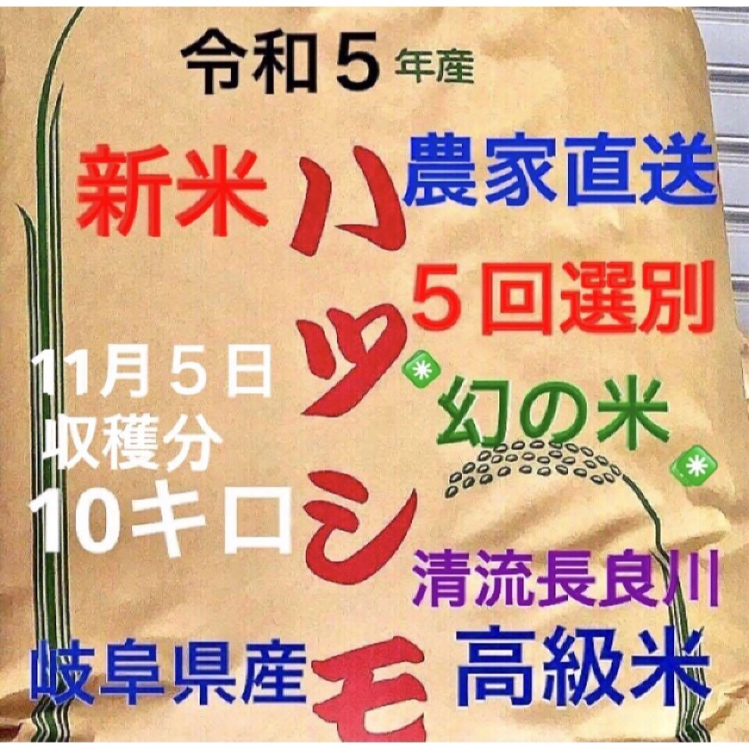 ⭐️グラッシー様専用⭐️R５年産✳️減農・有機肥料・送料無料ハツシモ10キロ 食品/飲料/酒の食品(米/穀物)の商品写真