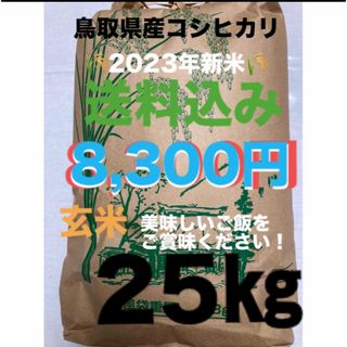 採れたて新米✳️令和５年産✳️５回色彩選別・有機肥料・送料無料ハツシモ20キロ