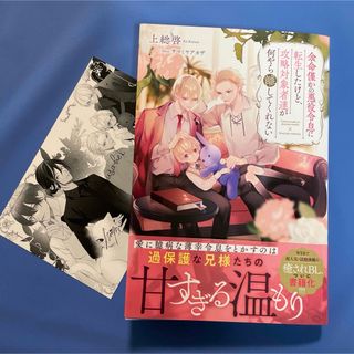 BL 小説　余命僅かの悪役令息に転生したけど、攻略対象者達が何やら離してくれない(ボーイズラブ(BL))