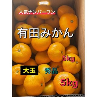 今シーズン最後残りわずか！　減農薬有田みかん　5kg 送料無料(フルーツ)