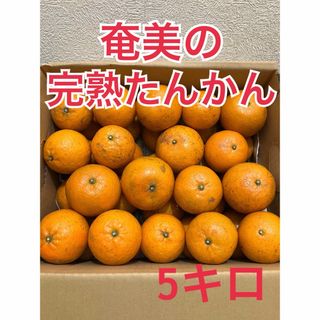 たんかん専用出品