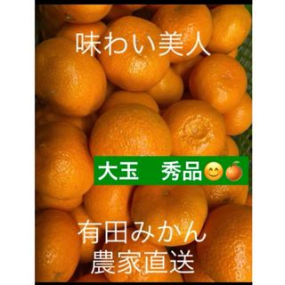 有田みかん農家直送⭐️ブランド味わい美人大玉秀品箱込み5キロ(フルーツ)