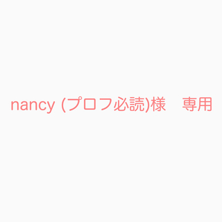 nancy (プロフ必読)様　専用(ランチボックス巾着)