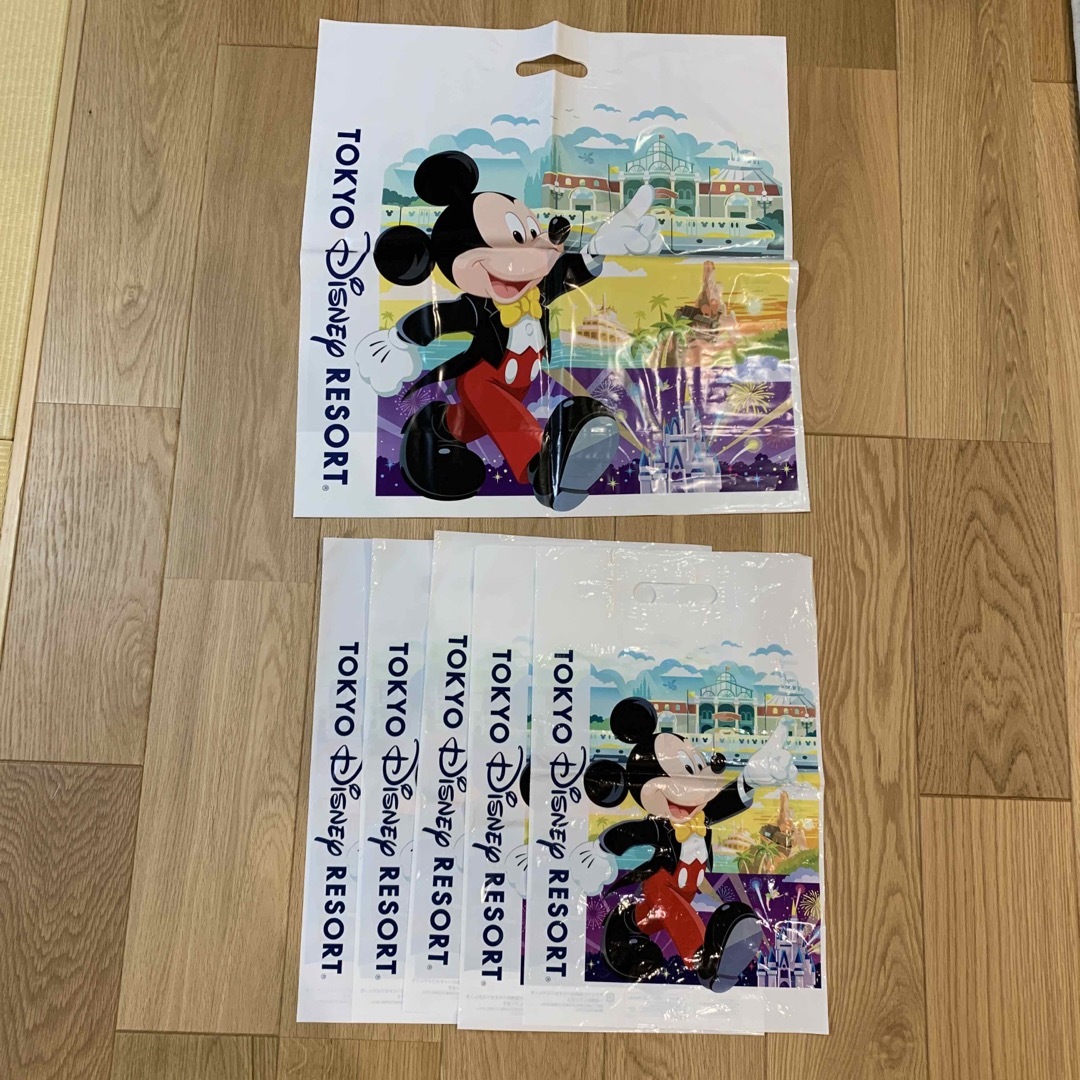 Disney(ディズニー)のディズニー　おみやげ　袋 レディースのバッグ(ショップ袋)の商品写真