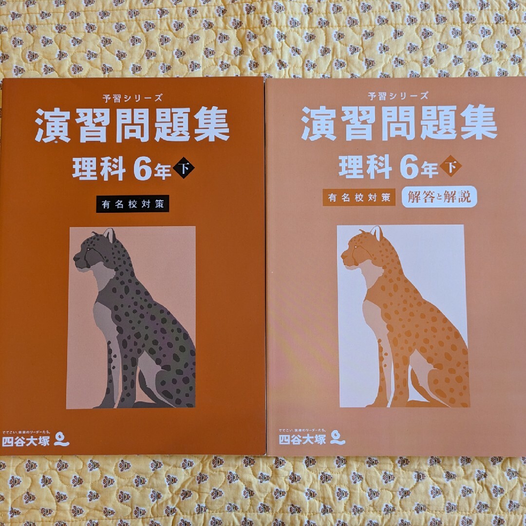 【中学受験】予習シリーズ エンタメ/ホビーの本(語学/参考書)の商品写真