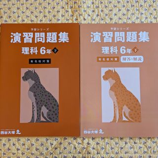 【中学受験】予習シリーズ(語学/参考書)