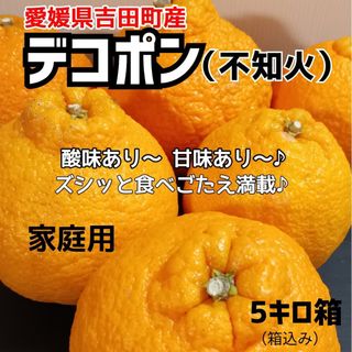 愛媛県産★農家直送★不知火(デコポン) 家庭用5キロ箱(フルーツ)