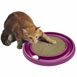 【色: グリーン】Bergan Turbo Scratcher Cat Toy (猫)