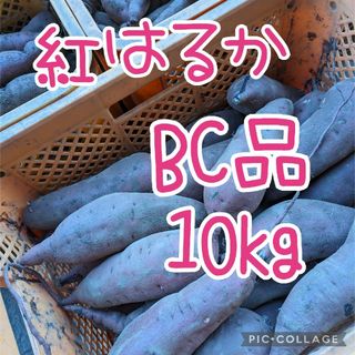 紅はるか　BC 10kg(野菜)