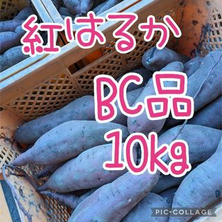 紅はるか　BC10kg(野菜)